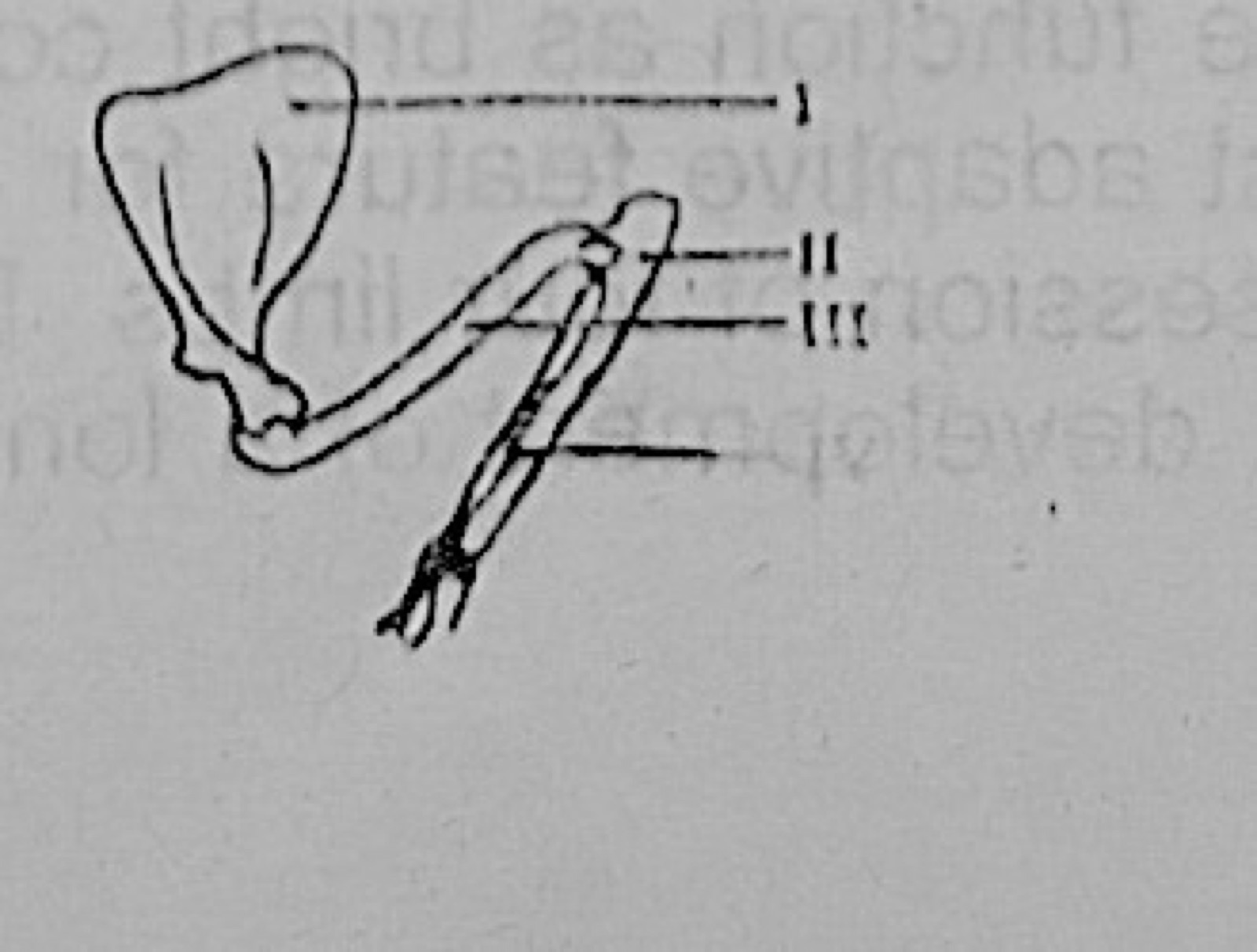 Diagram for this question