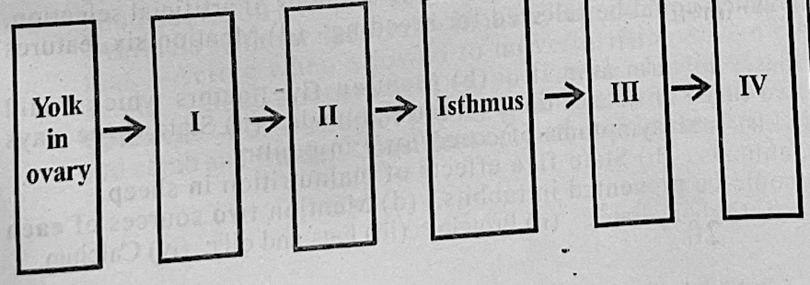 Diagram for this question