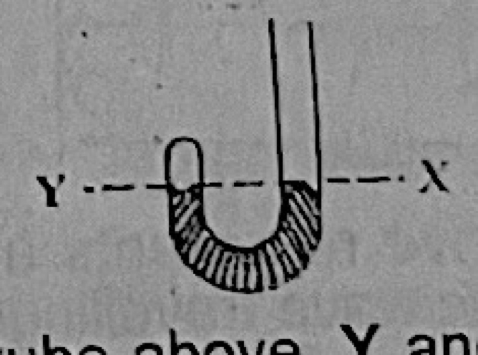 Diagram for this question
